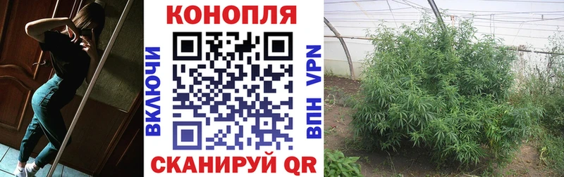 Конопля гибрид  Красноуральск 